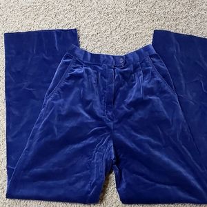 Velvet High Waisted Pants